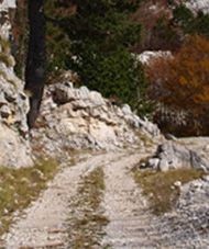 Orjenska Lovka – Crkvice road Orjenska Lovka – Crkvice road